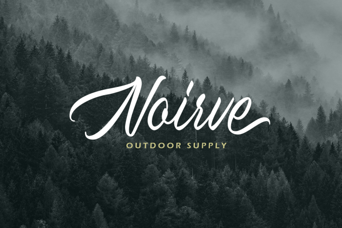 Holystone Script - Letterhend Studio