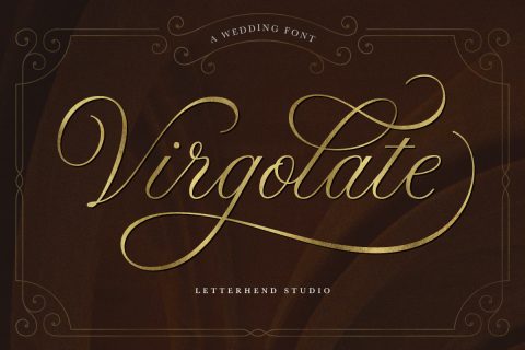 Donthank - Script Typeface
